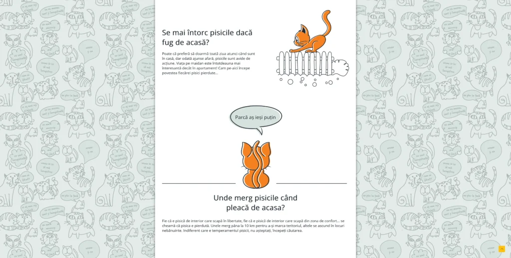 feline.ro inregistreaza ti pisica cu microcip pe feline.ro 3