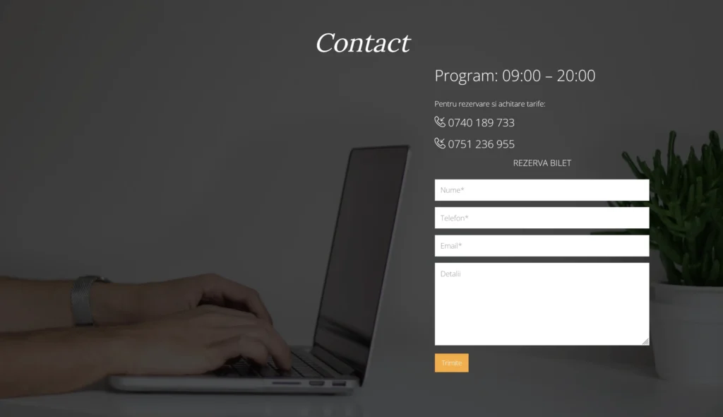 screenshot 2022 06 08 at 17 26 53 revelion 2018 la palatul parlamentului
