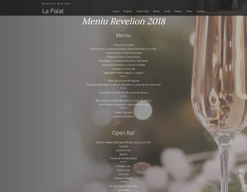 screenshot 2022 06 08 at 17 34 54 revelion 2018 la palatul parlamentului