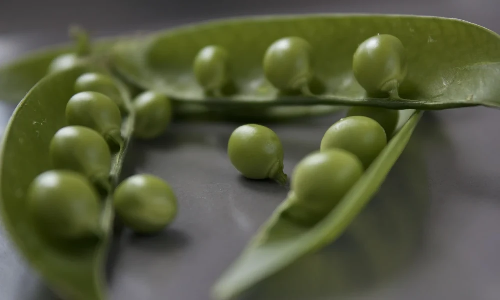 screenshot [olivo.ro] featured